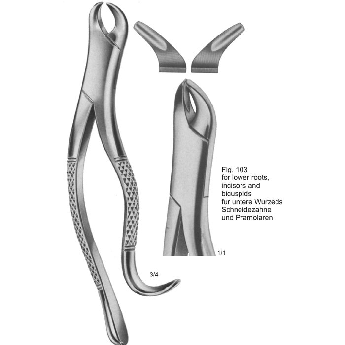 TOOTH EXTRACTING FORCEPS (AMERICAN PATTERN)