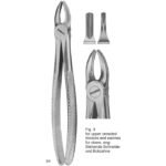 TOOTH EXTRACTING FORCEPS (ENGLISH PATTERN)