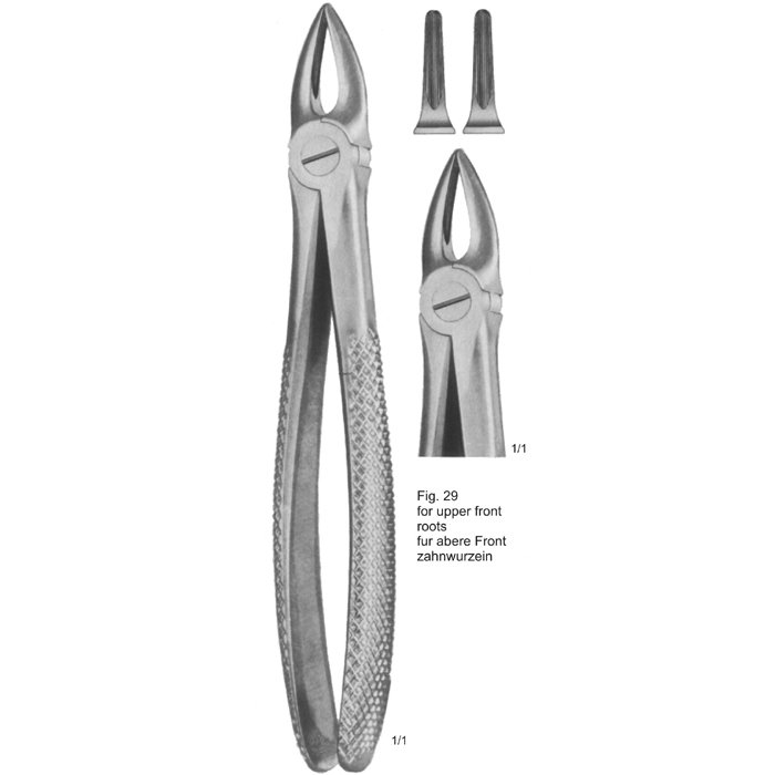 TOOTH EXTRACTING FORCEPS (ENGLISH PATTERN)