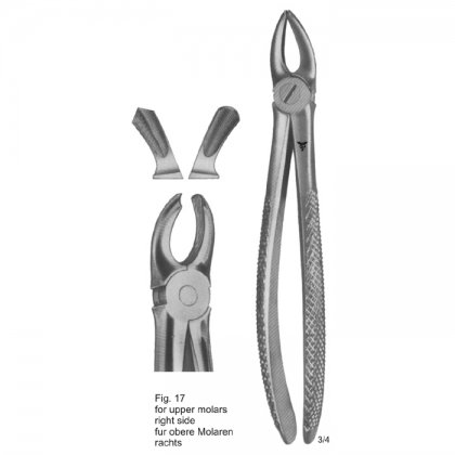 TOOTH EXTRACTING FORCEPS (ENGLISH PATTERN)